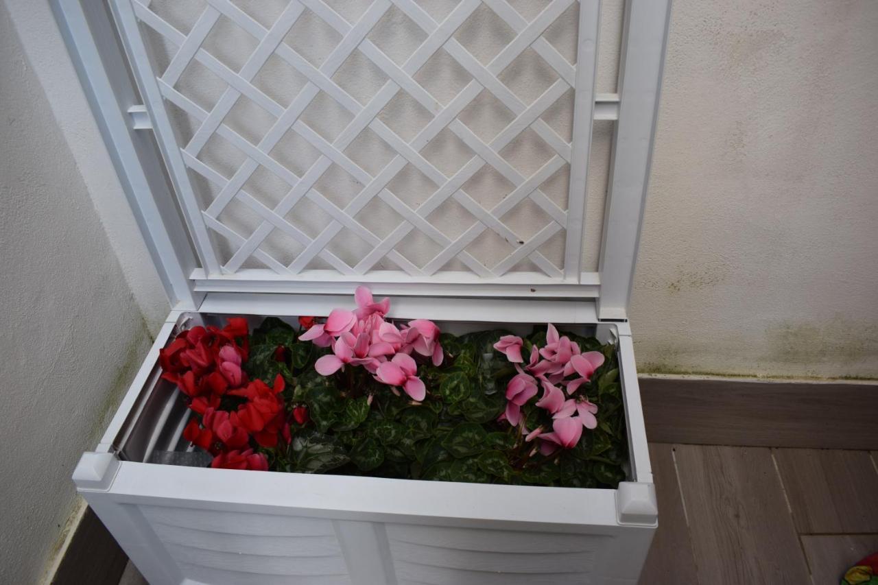 La Casita Nel Bosco Apartment Napoli Bagian luar foto